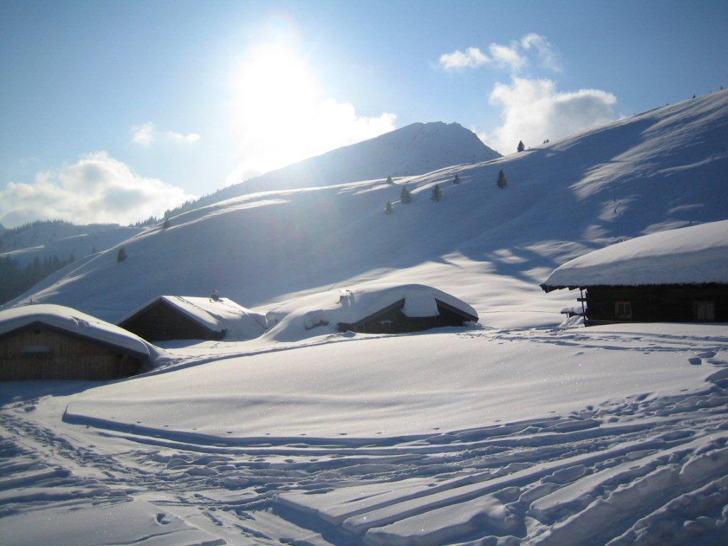 Hagauhof Bed and Breakfast Kirchberg in Tirol Exteriör bild